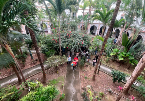 Tempo da Criação: Claustro do Convento Santo Antônio se transforma em “Jardim da Paz”