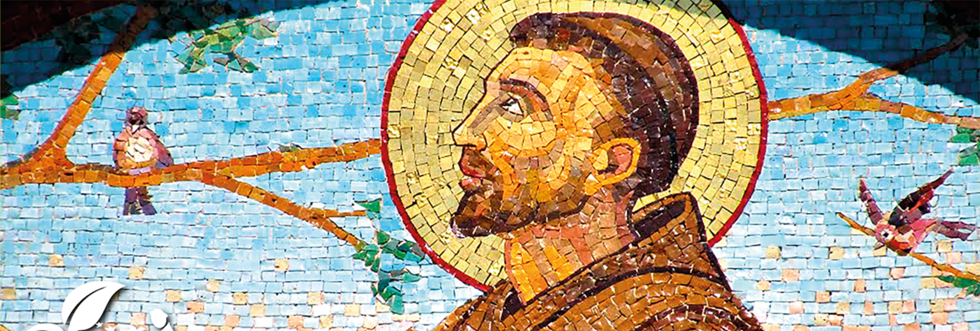 Especial Cântico das Criaturas: a criação como caminho de louvor