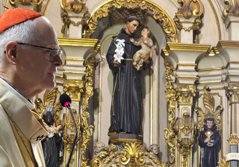 “São Francisco é um dom para toda a Igreja”