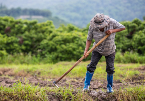 CF 2026: acesso à terra e os desafios estruturais da moradia no Brasil
