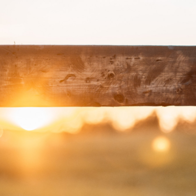 Inspirada em São Francisco, Comissão da OFM divulga mensagem para a Quaresma