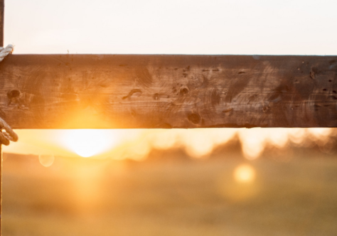 Inspirada em São Francisco, Comissão da OFM divulga mensagem para a Quaresma