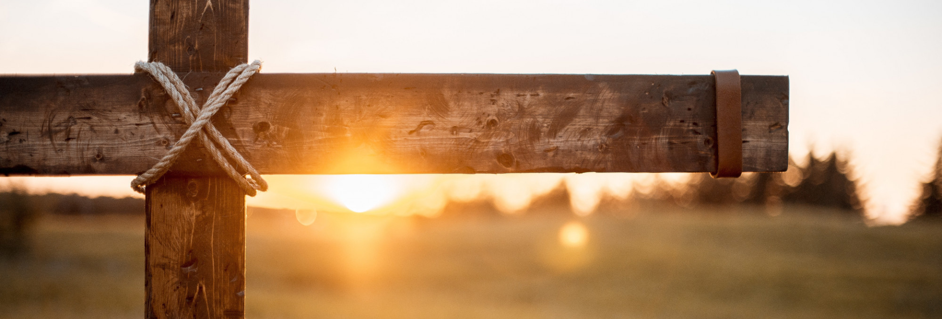 Inspirada em São Francisco, Comissão da OFM divulga mensagem para a Quaresma