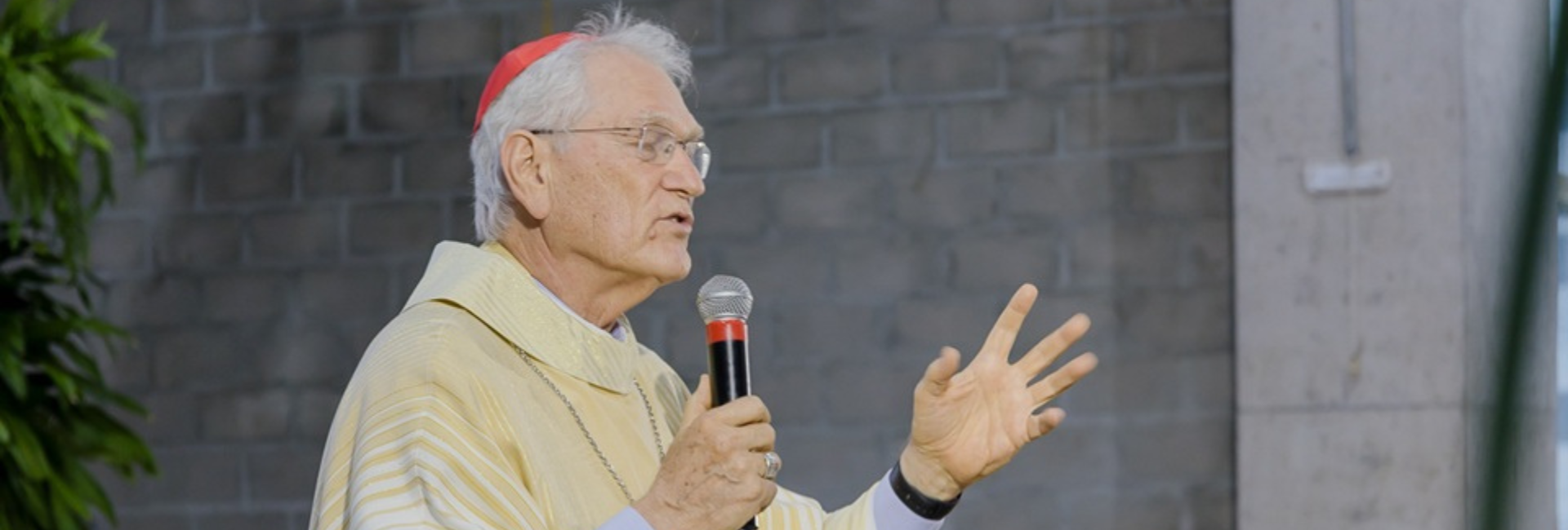 Cardeal Leonardo Steiner é eleito presidente da CEAMA para o quadriênio 2026-2030