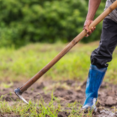 CF 2026: acesso à terra e os desafios estruturais da moradia no Brasil