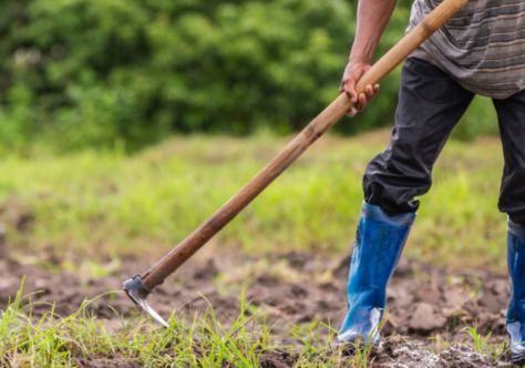 CF 2026: acesso à terra e os desafios estruturais da moradia no Brasil
