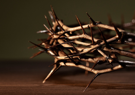 Mensagem do Ministro Provincial para a Páscoa de 2026