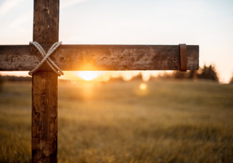 Inspirada em São Francisco, Comissão da OFM divulga mensagem para a Quaresma