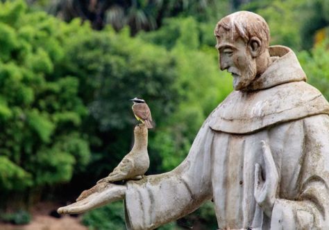 Francisco antes de “São Francisco”