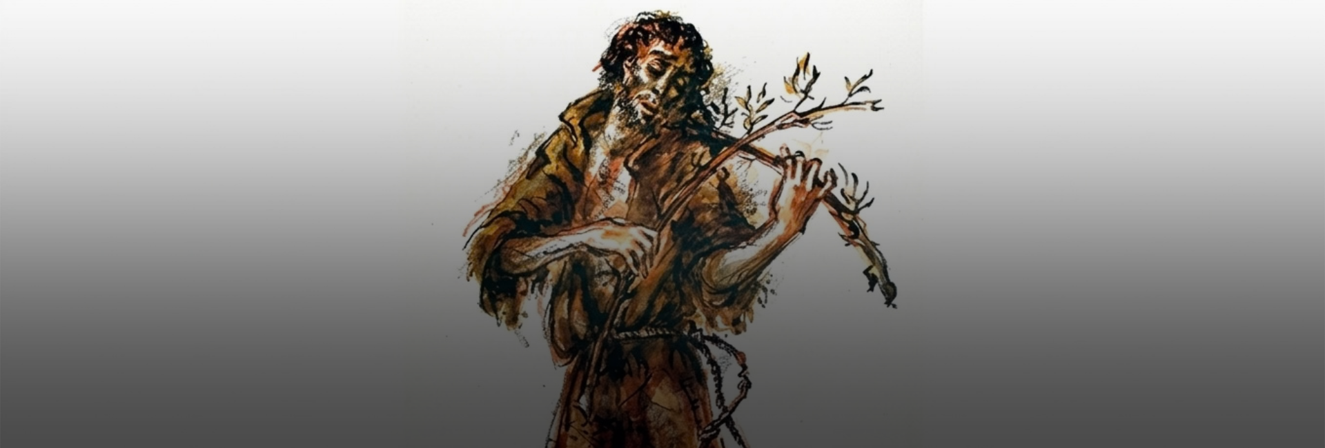 Celebrações de São Francisco de Assis na Província